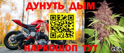 spice Бийск