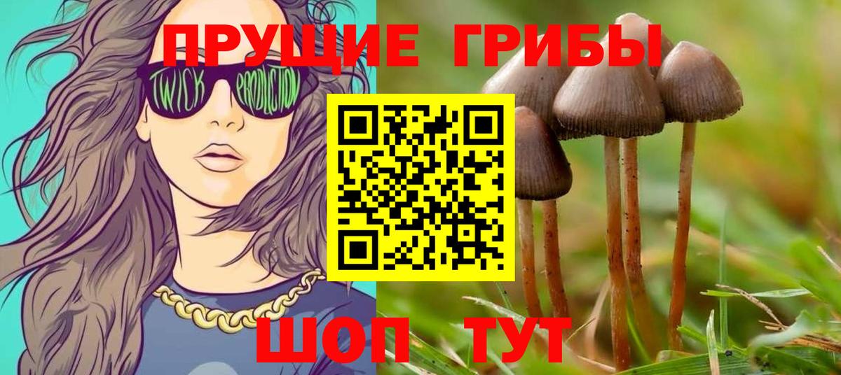 Галлюциногенные грибы мицелий  Вход с VPN  Псилоцибиновые грибы ЛСД  Киров 